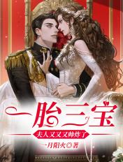 一胎三宝夫人娇又猛